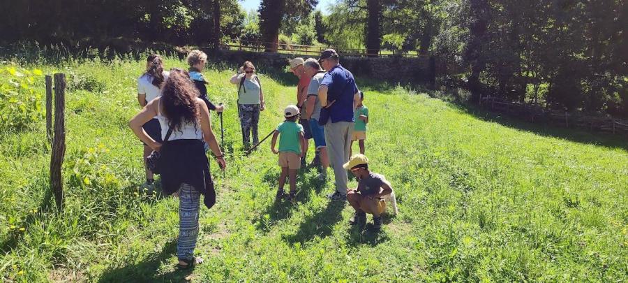 Balade a la fraiche le groupe compresse e